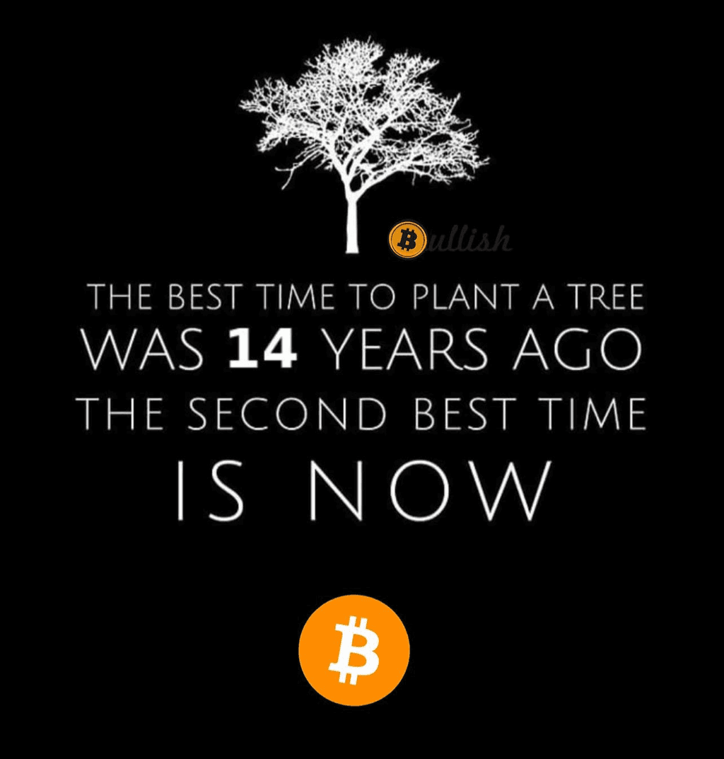 Best time to plant a tree was 14 years ago